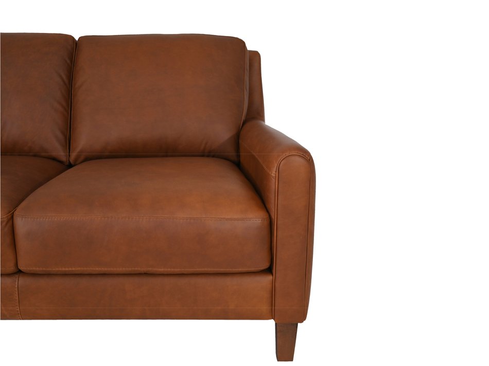 Eden Sofa & Loveseat