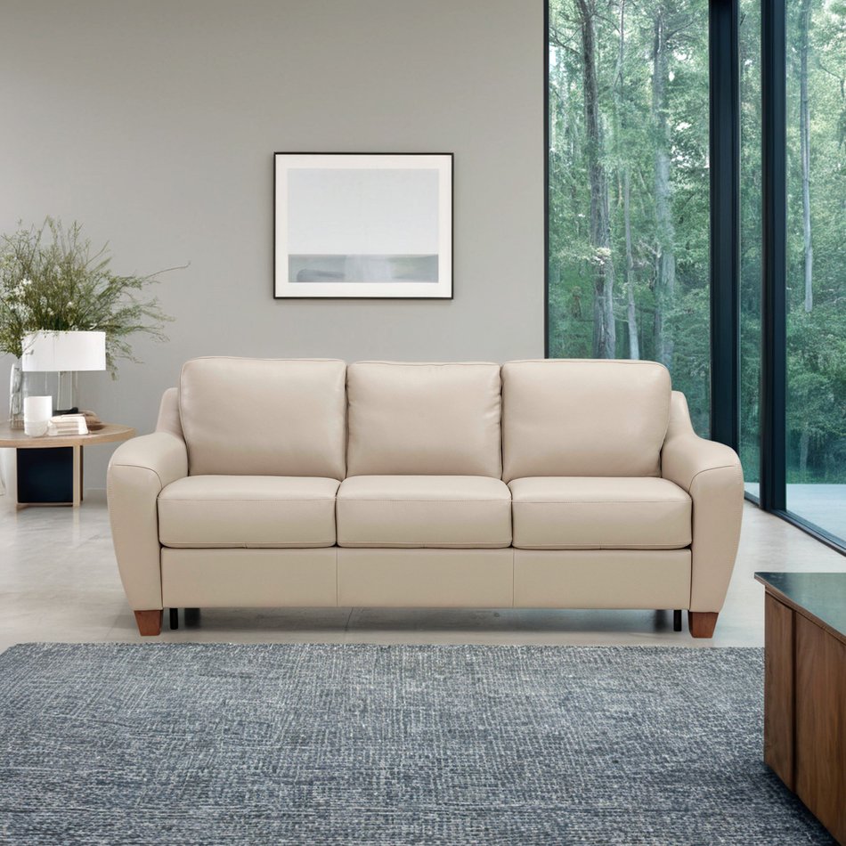 Arian Medium Queen Sleeper Sofa