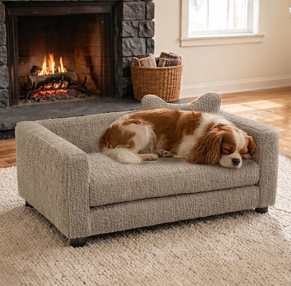 Companion Comfort Dog Bed