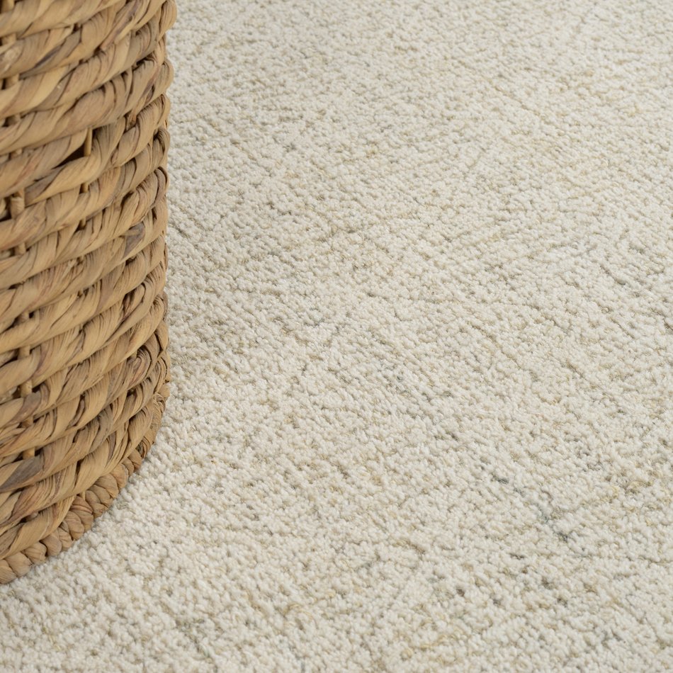 Area Rug