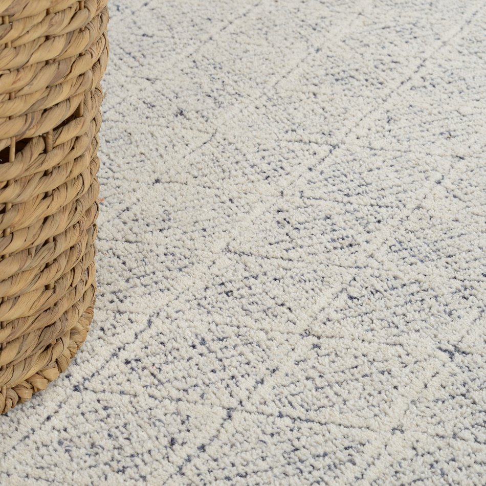 Area Rug