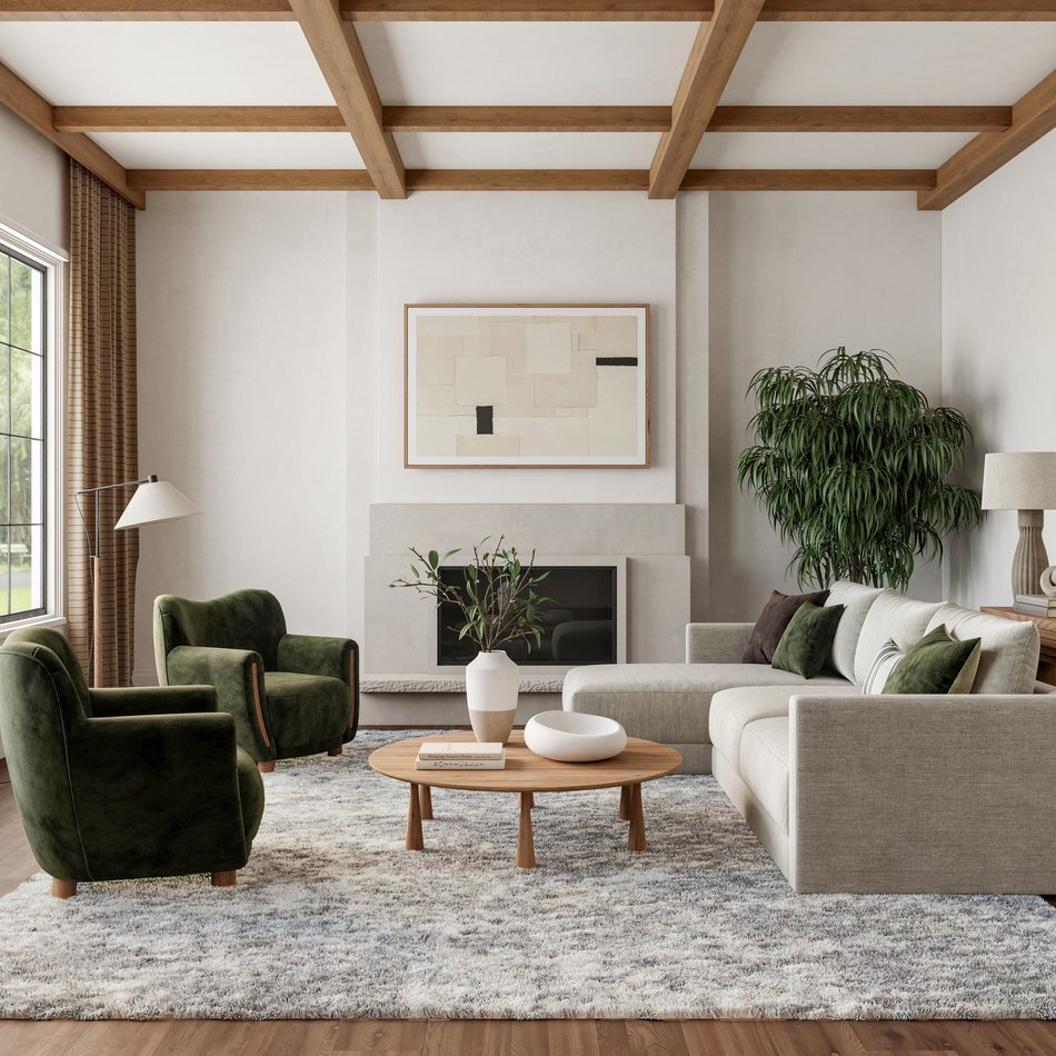 Dreamy Shag Area Rug