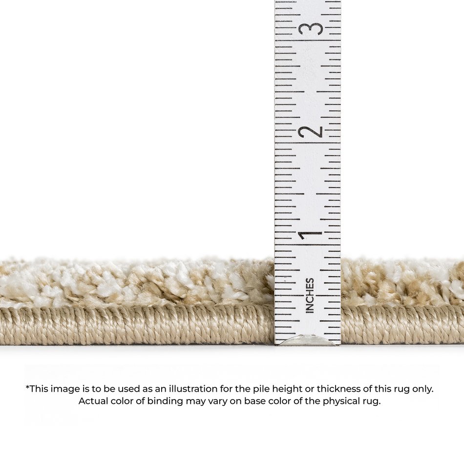 Area Rug