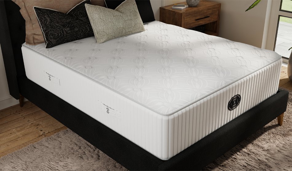 Sunday Morning Plush Twin Mattress