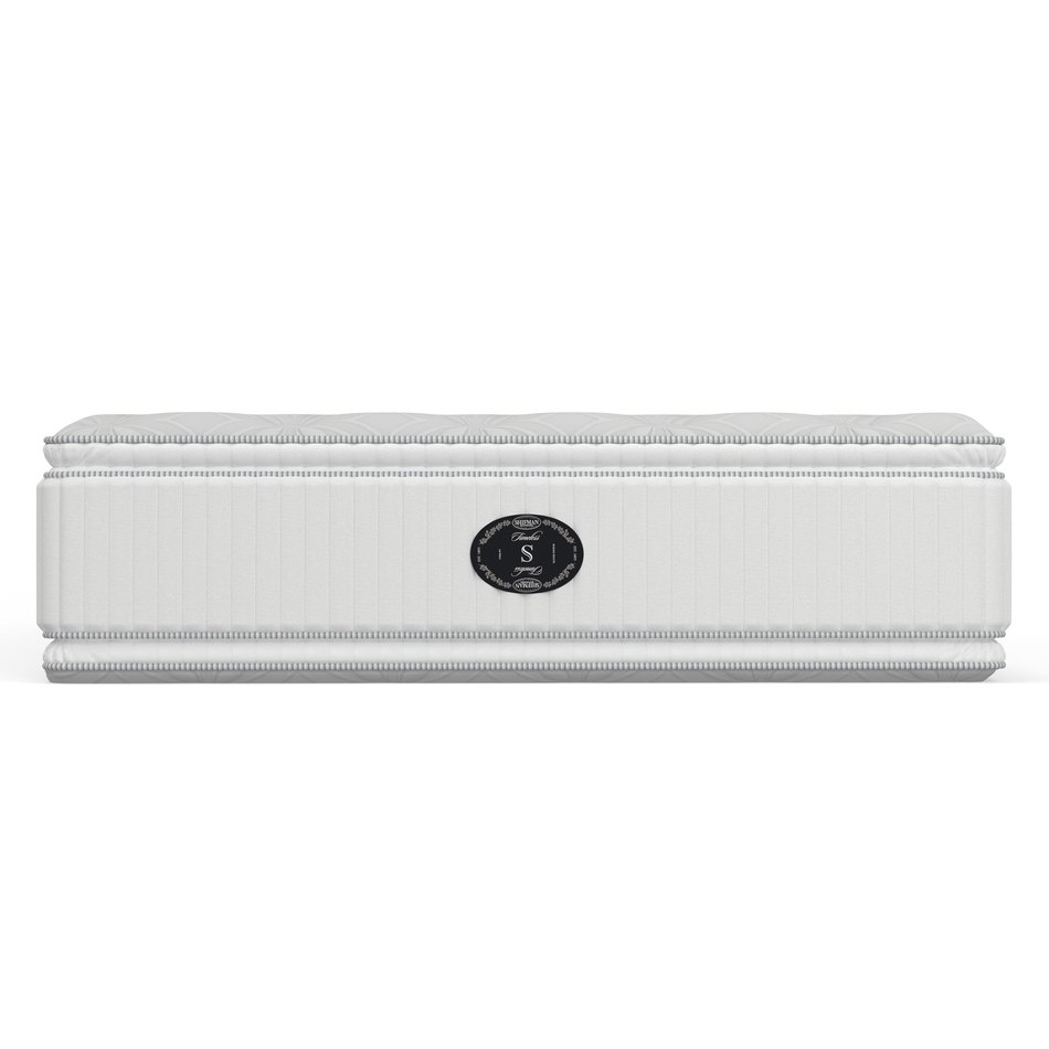 Scenic Route Firm Twin Mattress