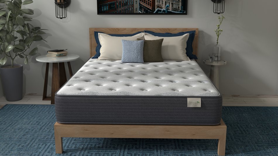 Natural Elegance by Niropedic Foxhorn II Plush Twin Mattress