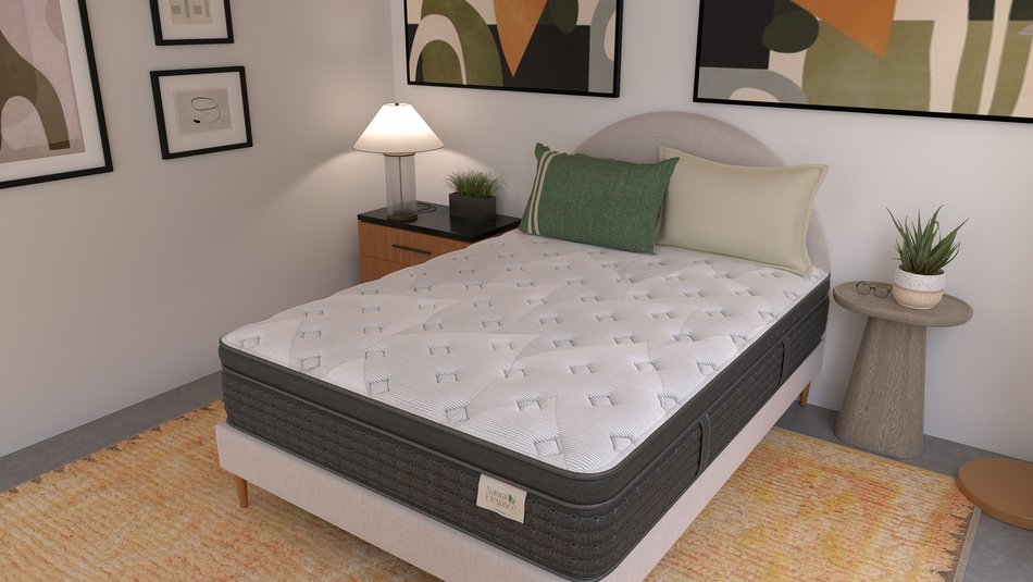 Natural Elegance by Niropedic Bretton Plush Euro Top Twin Mattress