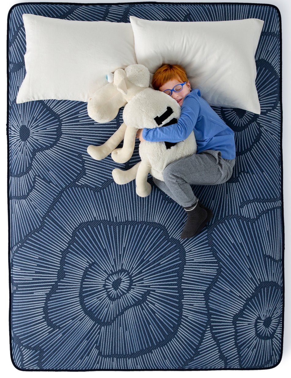Serta Perfect Sleeper Euphoric Nights Plush Smooth Top Hybrid Queen Mattress