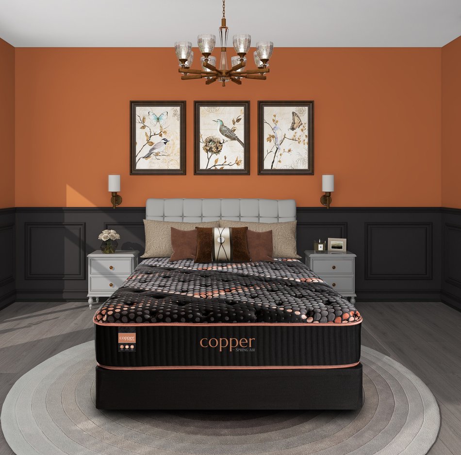 Copper by Spring Air Alloy Medium King Mattress