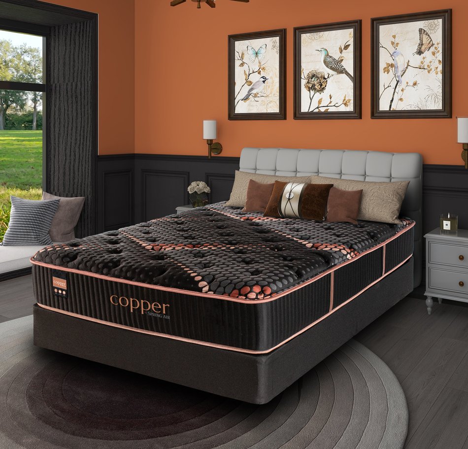 Copper by Spring Air Alloy Medium California King Mattress