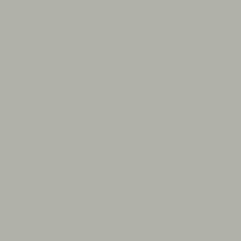 DreamFit 100% Pima Cotton Queen Sage Sheet Set
